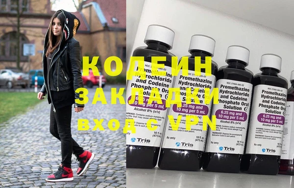 прущие грибы Бородино