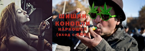прущие грибы Бородино