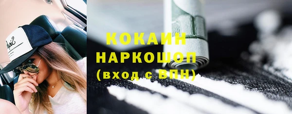 прущие грибы Бородино