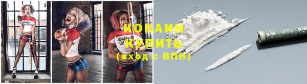 прущие грибы Бородино
