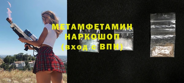 прущие грибы Бородино