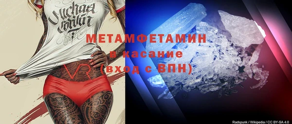 прущие грибы Бородино