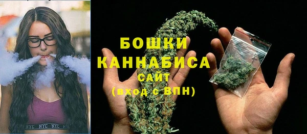 прущие грибы Бородино