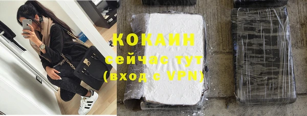прущие грибы Бородино