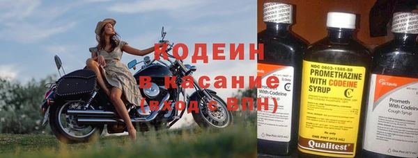 прущие грибы Бородино