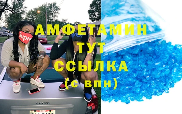 прущие грибы Бородино