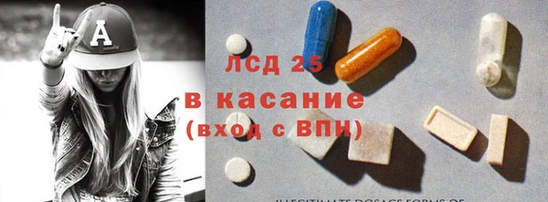 прущие грибы Бородино