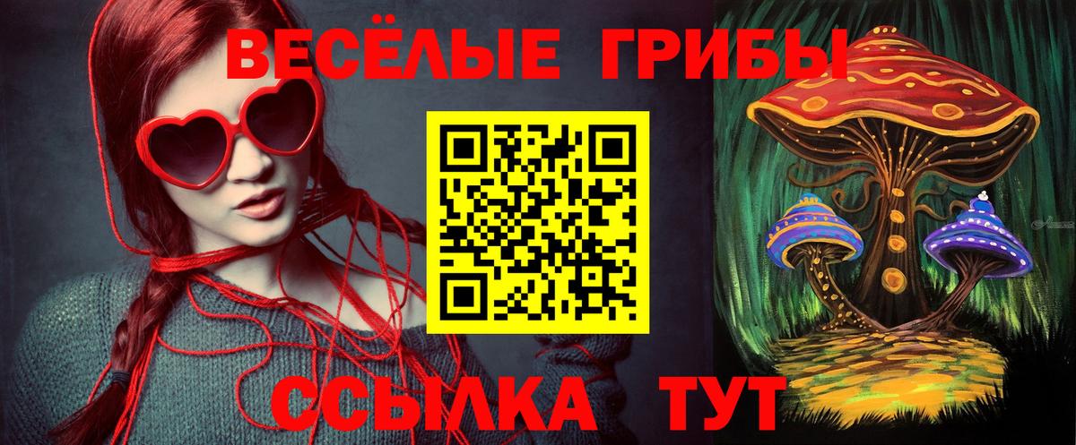 Псилоцибиновые грибы Magic Shrooms Бузулук